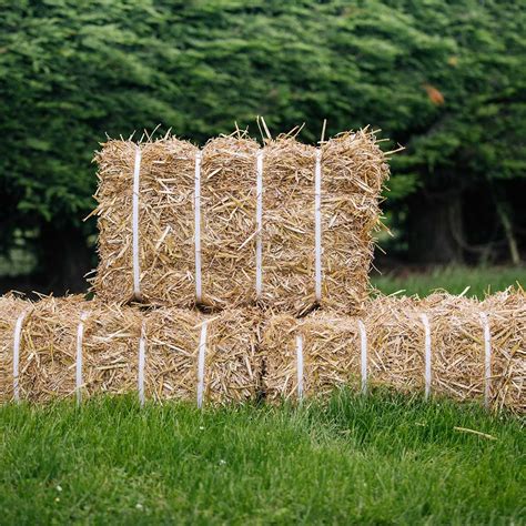 Each mini straw bale weighs 3-4 lbs. . Straw bale for sale near me